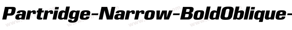 Partridge-Narrow-BoldOblique字体转换 Partridge-Narrow-BoldOblique字体转换