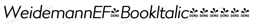 WeidemannEF-BookItalic字体转换
