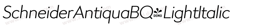 SchneiderAntiquaBQ-LightItalic字体转换
