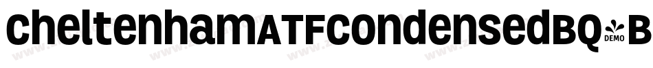 CheltenhamATFCondensedBQ-BoldExtra字体转换