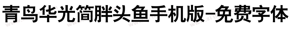青鸟华光简胖头鱼手机版字体转换