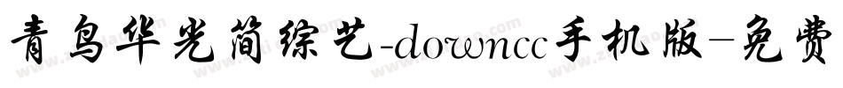 青鸟华光简综艺_downcc手机版字体转换