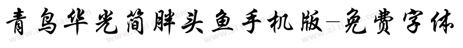 青鸟华光简胖头鱼手机版字体转换
