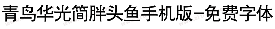 青鸟华光简胖头鱼手机版字体转换