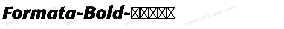 Formata-Bold字体转换