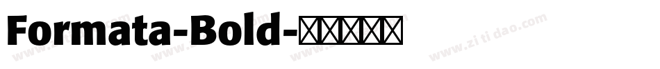 Formata-Bold字体转换