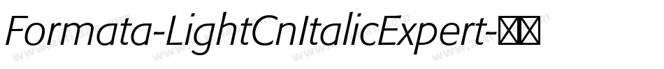 Formata-LightCnItalicExpert字体转换
