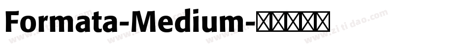Formata-Medium字体转换