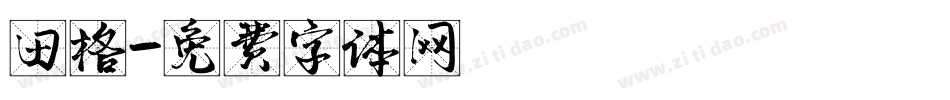 田格字体转换