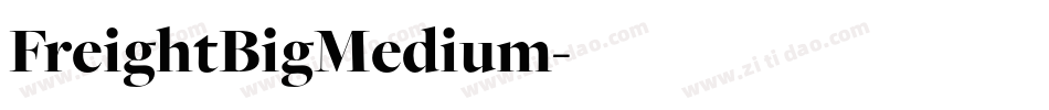 FreightBigMedium字体转换