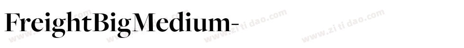 FreightBigMedium字体转换