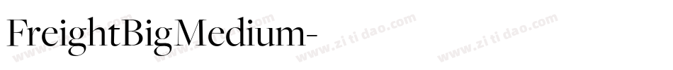 FreightBigMedium字体转换