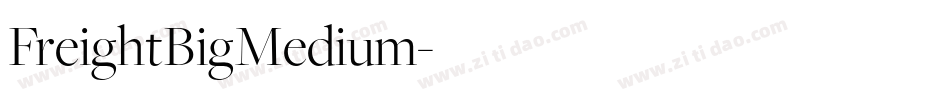 FreightBigMedium字体转换