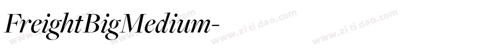 FreightBigMedium字体转换