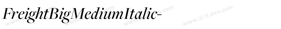 FreightBigMediumItalic字体转换 FreightBigMediumItalic字体转换