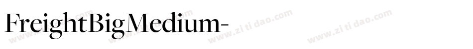 FreightBigMedium字体转换