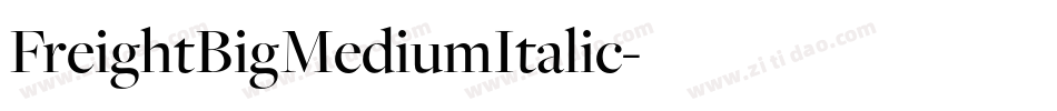 FreightBigMediumItalic字体转换 FreightBigMediumItalic字体转换