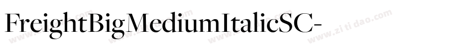 FreightBigMediumItalicSC字体转换