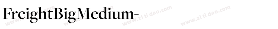 FreightBigMedium字体转换