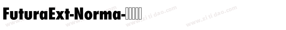 FuturaExt-Norma字体转换 FuturaExt-Norma字体转换