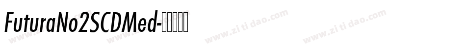 FuturaNo2SCDMed字体转换