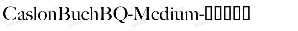 CaslonBuchBQ-Medium字体转换