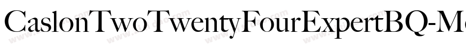 CaslonTwoTwentyFourExpertBQ-Medium字体转换