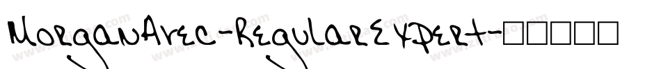 MorganAvec-RegularExpert字体转换