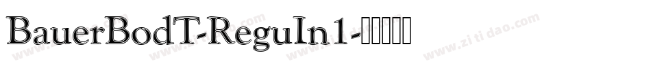 BauerBodT-ReguIn1字体转换