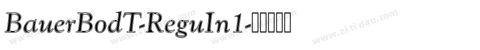BauerBodT-ReguIn1字体转换