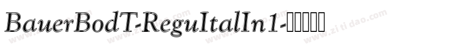 BauerBodT-ReguItalIn1字体转换