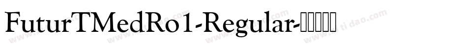 FuturTMedRo1-Regular字体转换