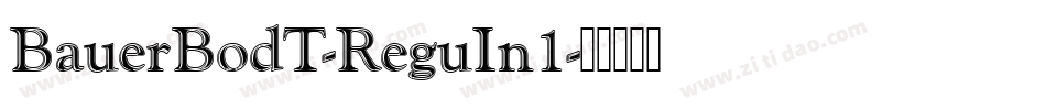 BauerBodT-ReguIn1字体转换