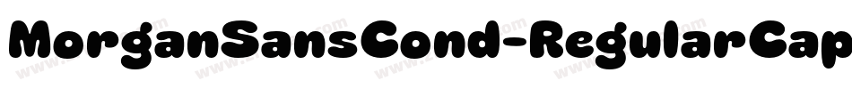 MorganSansCond-RegularCaps字体转换 MorganSansCond-RegularCaps字体转换