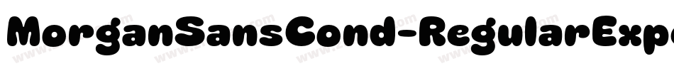 MorganSansCond-RegularExpert字体转换 MorganSansCond-RegularExpert字体转换