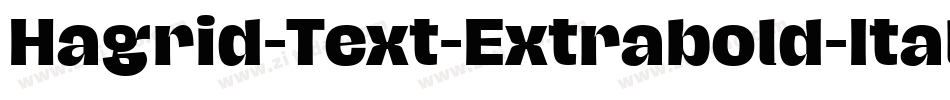 Hagrid-Text-Extrabold-Italic-trial字体转换 Hagrid-Text-Extrabold-Italic-trial字体转换