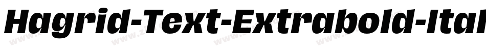 Hagrid-Text-Extrabold-Italic-trial字体转换 Hagrid-Text-Extrabold-Italic-trial字体转换