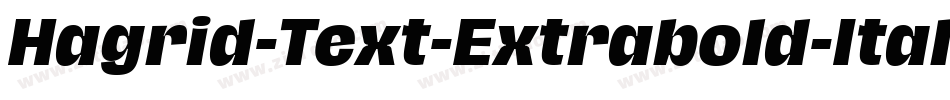 Hagrid-Text-Extrabold-Italic-trial字体转换 Hagrid-Text-Extrabold-Italic-trial字体转换