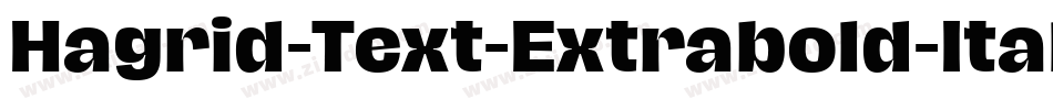 Hagrid-Text-Extrabold-Italic-trial字体转换 Hagrid-Text-Extrabold-Italic-trial字体转换
