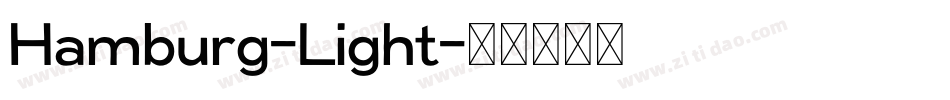 Hamburg-Light字体转换