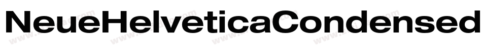 NeueHelveticaCondensedBQ-Bold字体转换