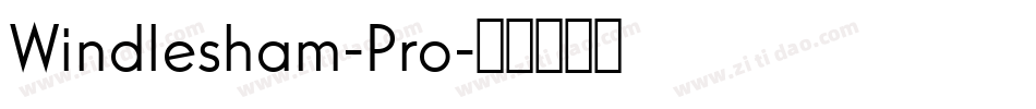 Windlesham-Pro字体转换
