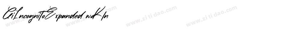 GiIncognitoExpanded-wKln字体转换