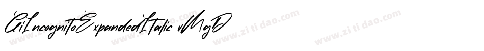 GiIncognitoExpandedItalic-vMgD字体转换