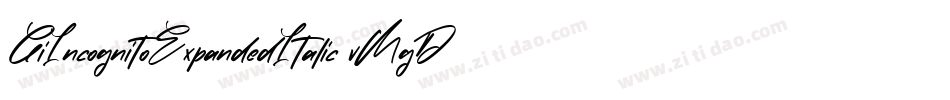 GiIncognitoExpandedItalic-vMgD字体转换