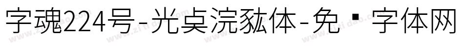字魂224号-光点浣熊体字体转换