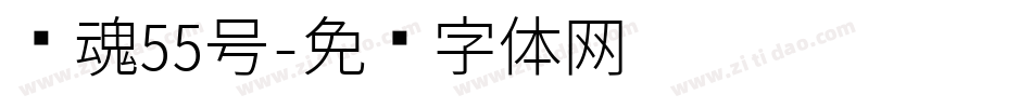 龙魂55号字体转换