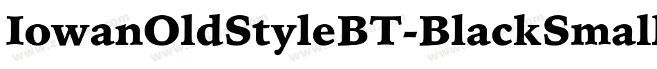 IowanOldStyleBT-BlackSmallCap字体转换 IowanOldStyleBT-BlackSmallCap字体转换