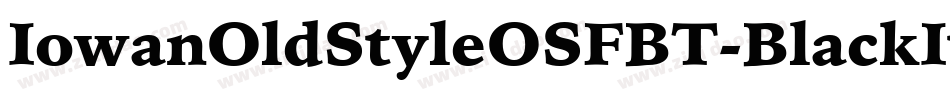 IowanOldStyleOSFBT-BlackItalic字体转换