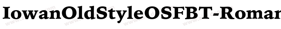 IowanOldStyleOSFBT-Roman字体转换 IowanOldStyleOSFBT-Roman字体转换